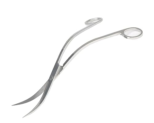 Wave Scissors